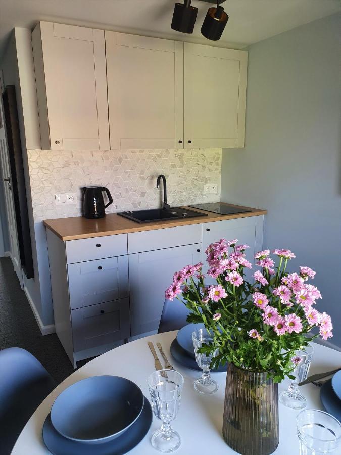 Apartamenty K17 Centrum Malbork Esterno foto